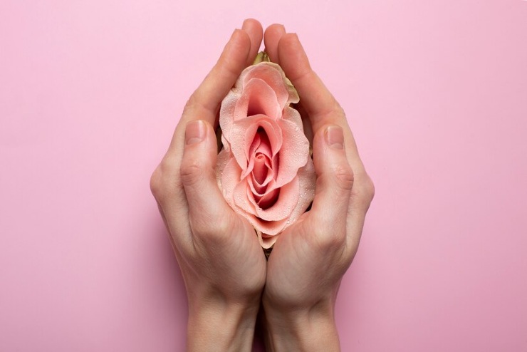 menopausa donna