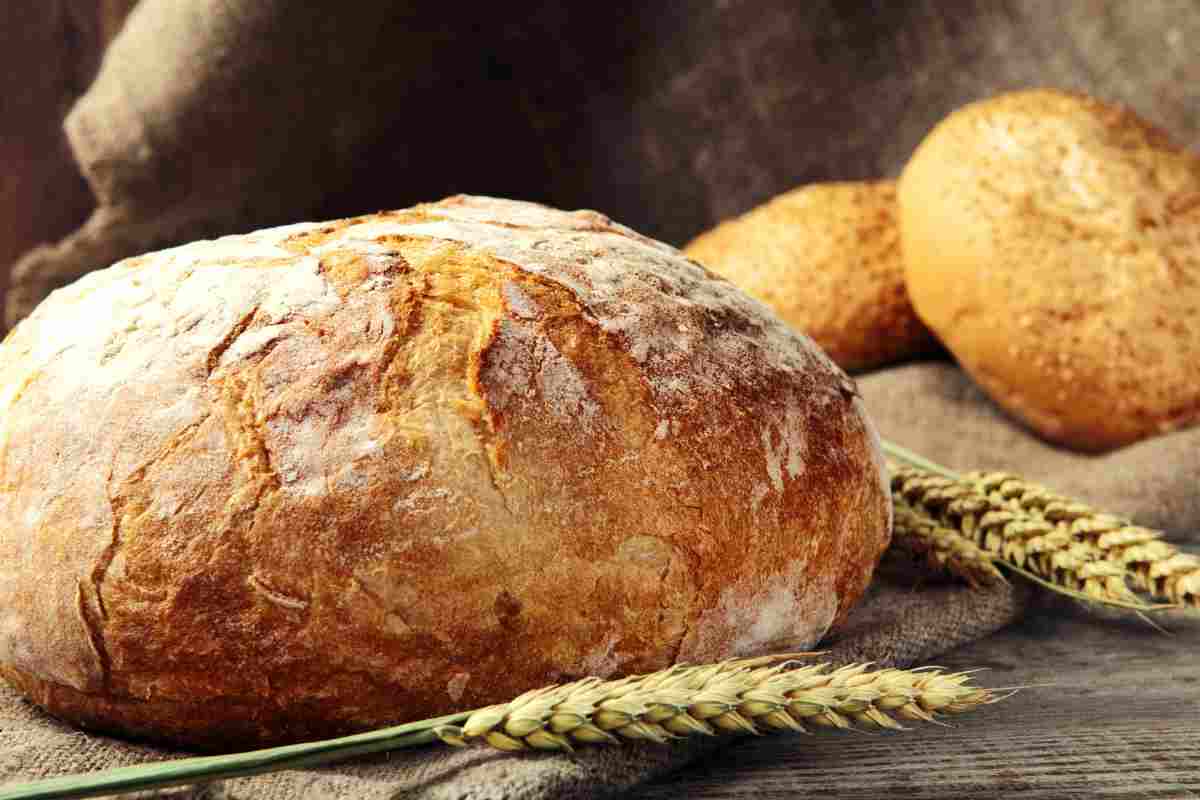 pane avanzato come conservarlo