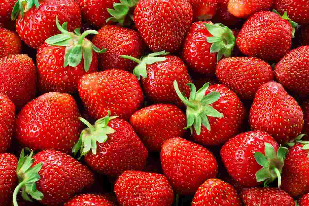 Fragole conservazione