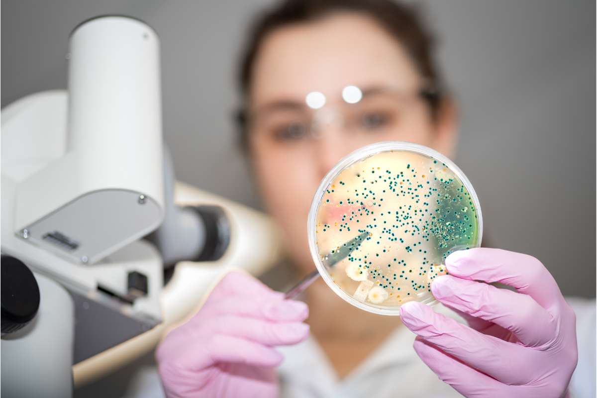Laboratorio medico