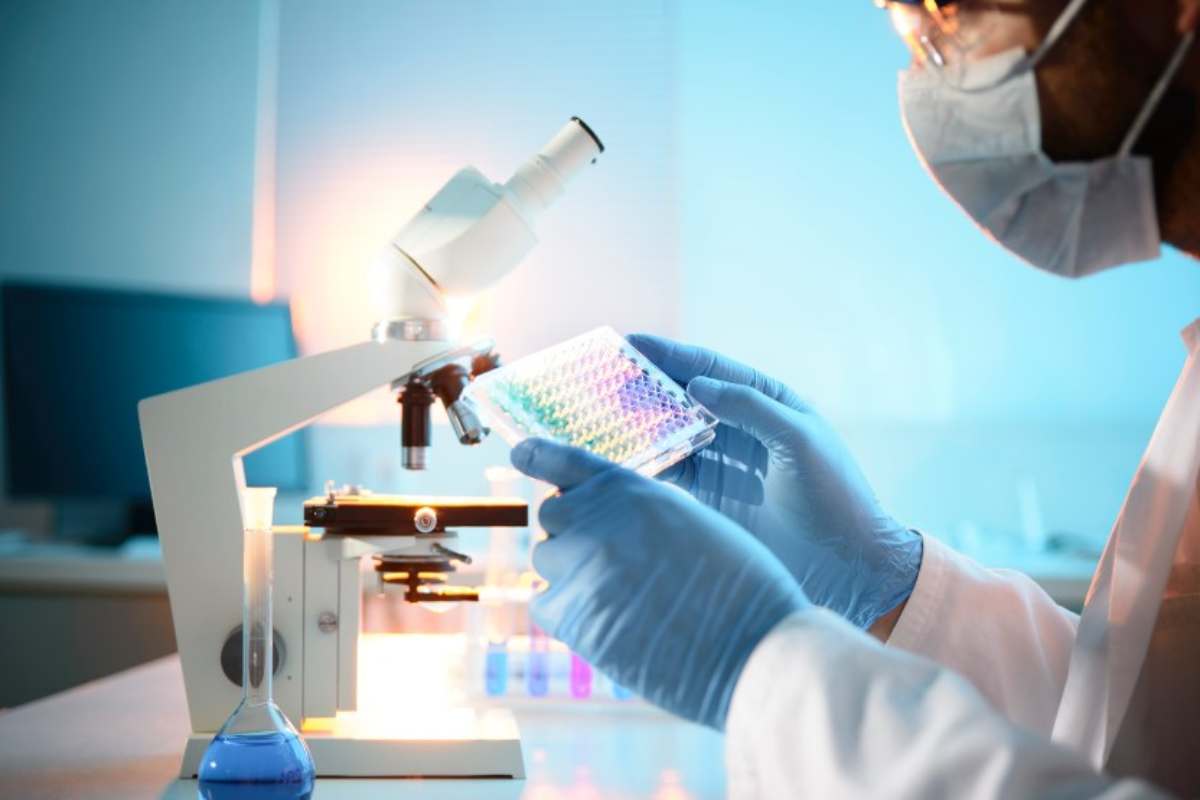 Ricerca scientifica, alimenti