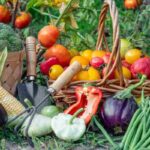 Verdure