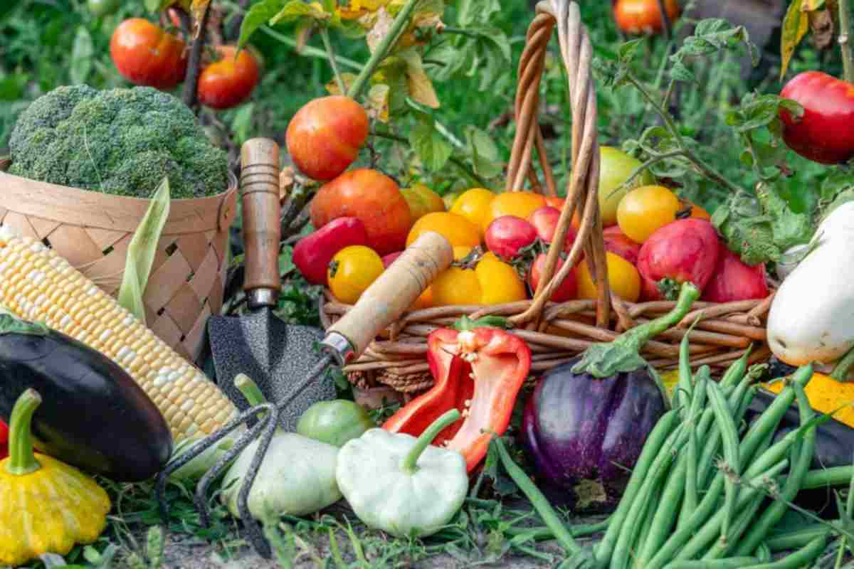 Verdure