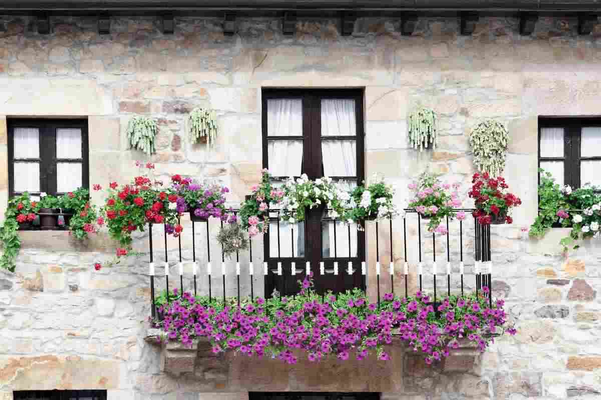Lidl, con l'ultima incredibile offerta il tuo balcone farà invidia a tutto il vicinato eco di che si tratta