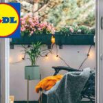 Lidl, con l'ultima incredibile offerta il tuo balcone farà invidia a tutto il vicinato