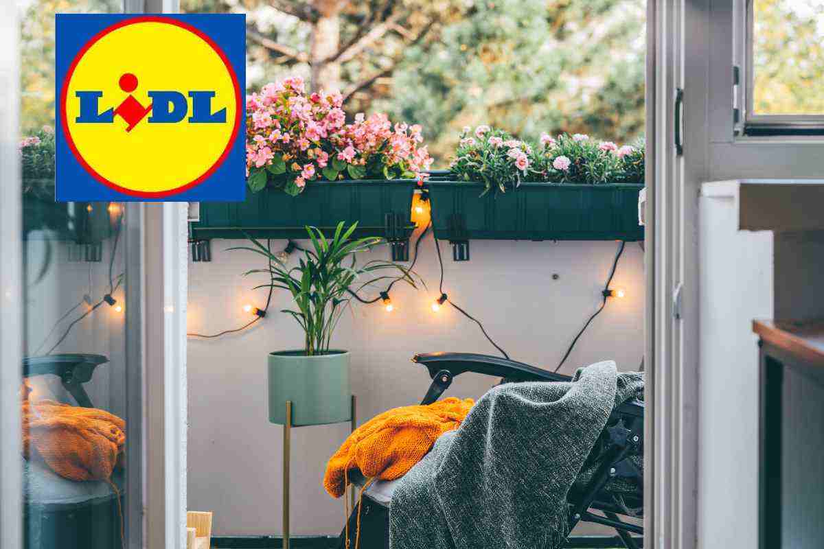 Lidl, con l'ultima incredibile offerta il tuo balcone farà invidia a tutto il vicinato