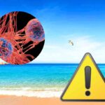 pericolo cancro sulle spiagge