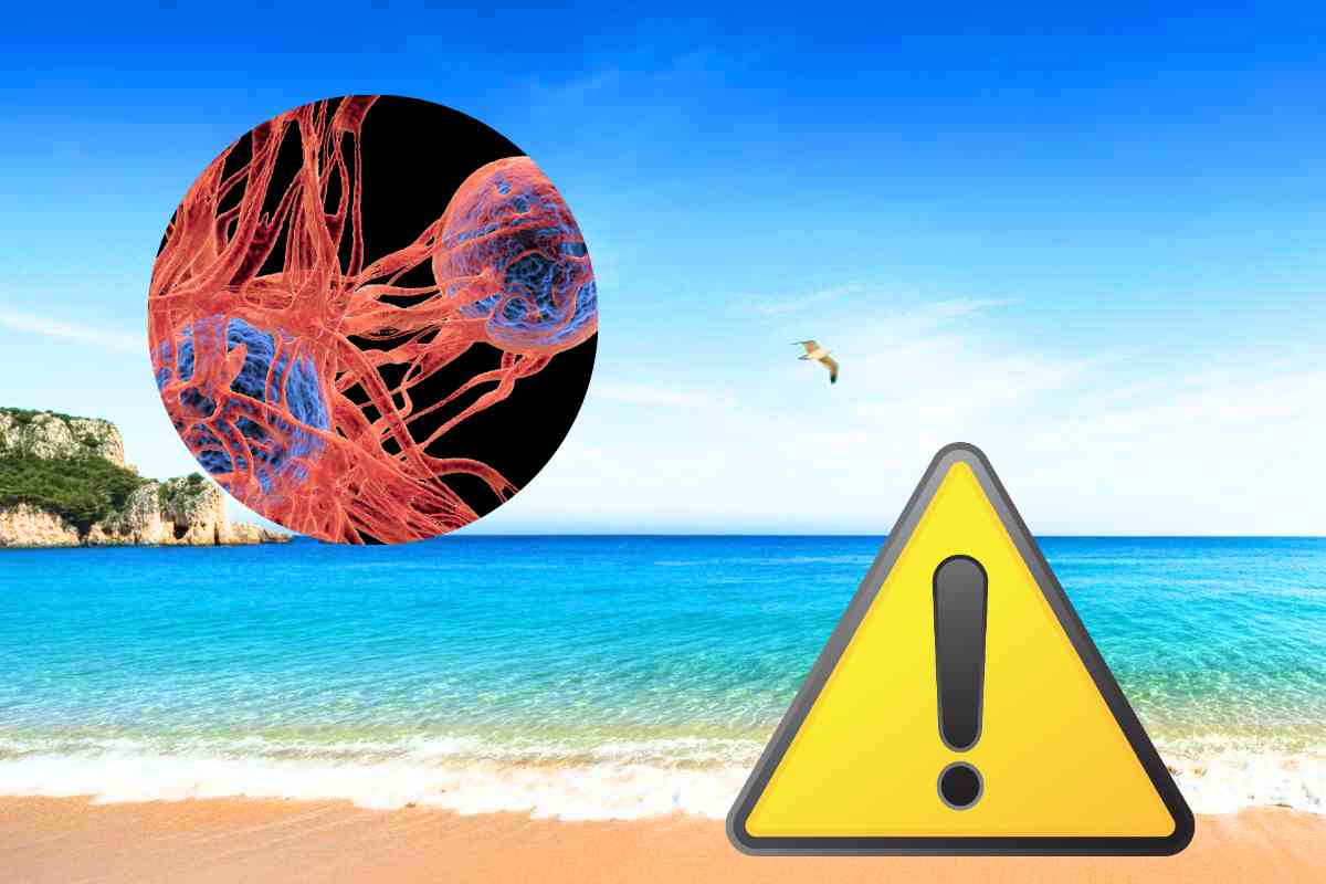 pericolo cancro sulle spiagge