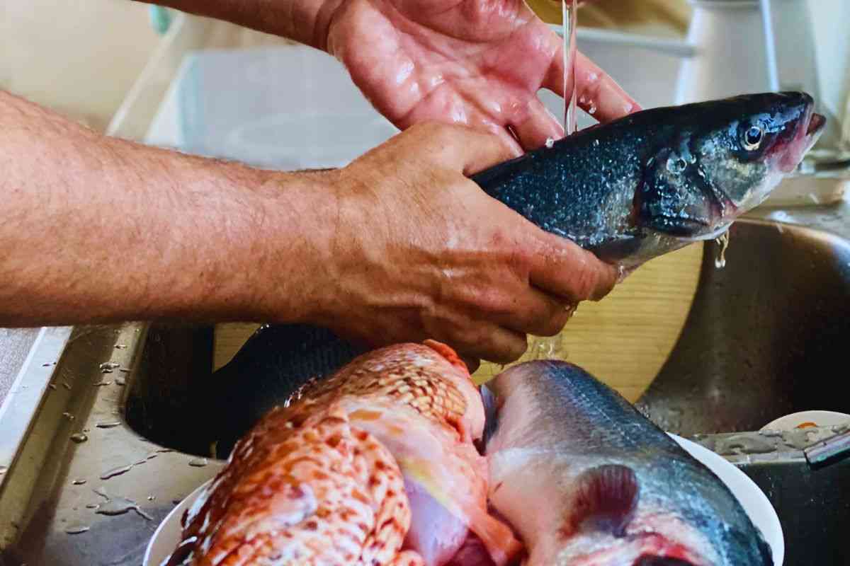 perchè non lavare il pesce