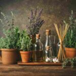 piante aromatiche e come curarle