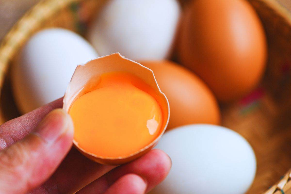 uova: quando non sono da mangiare