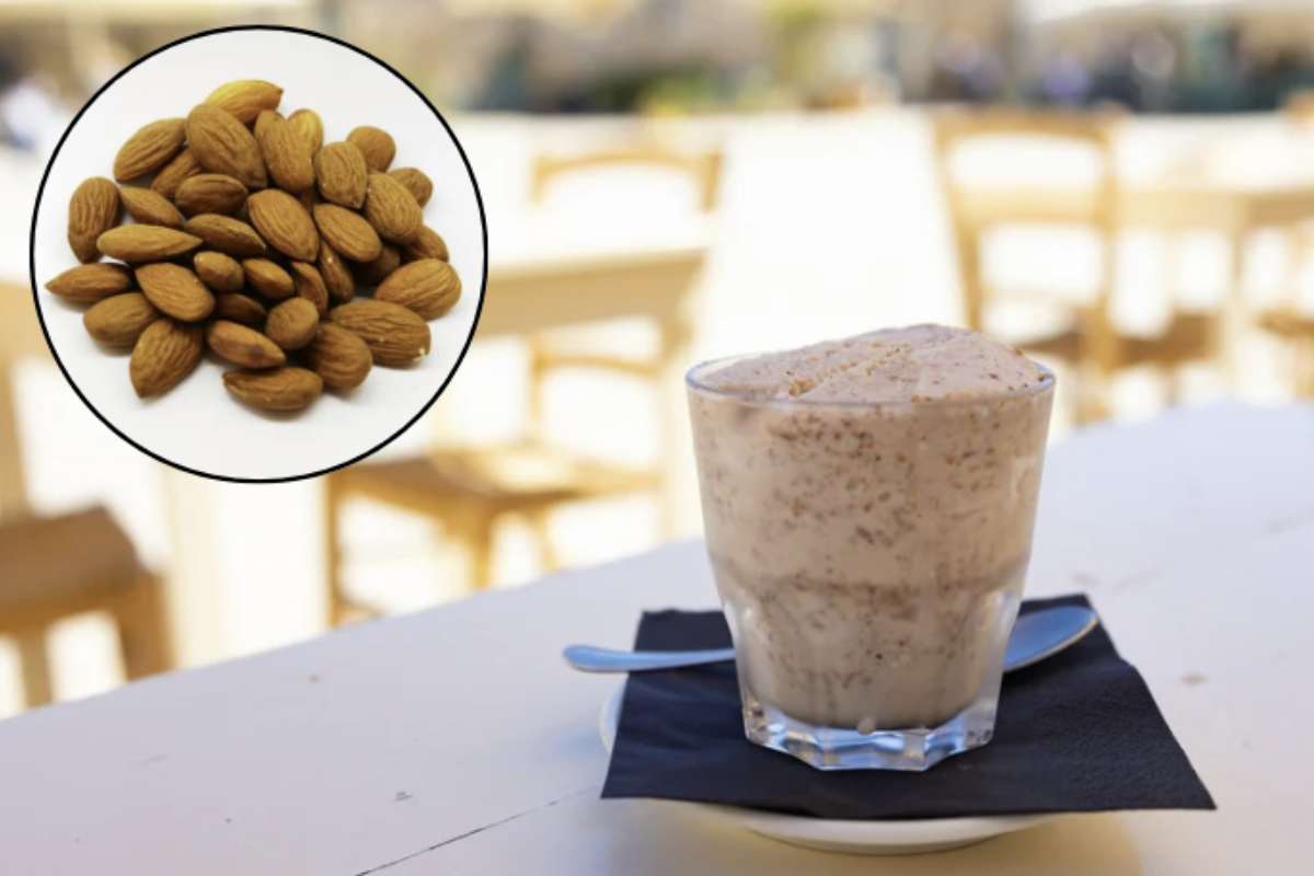Questo dolce fresco e aromatico è perfetto per la colazione o la merenda, soprattutto se accompagnato dalla classica brioscia cu’ tuppu