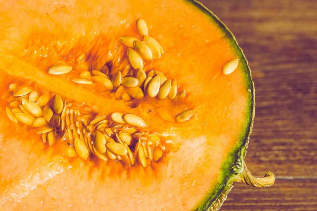 Semi di melone, io li uso così e risparmio centinaia di euro